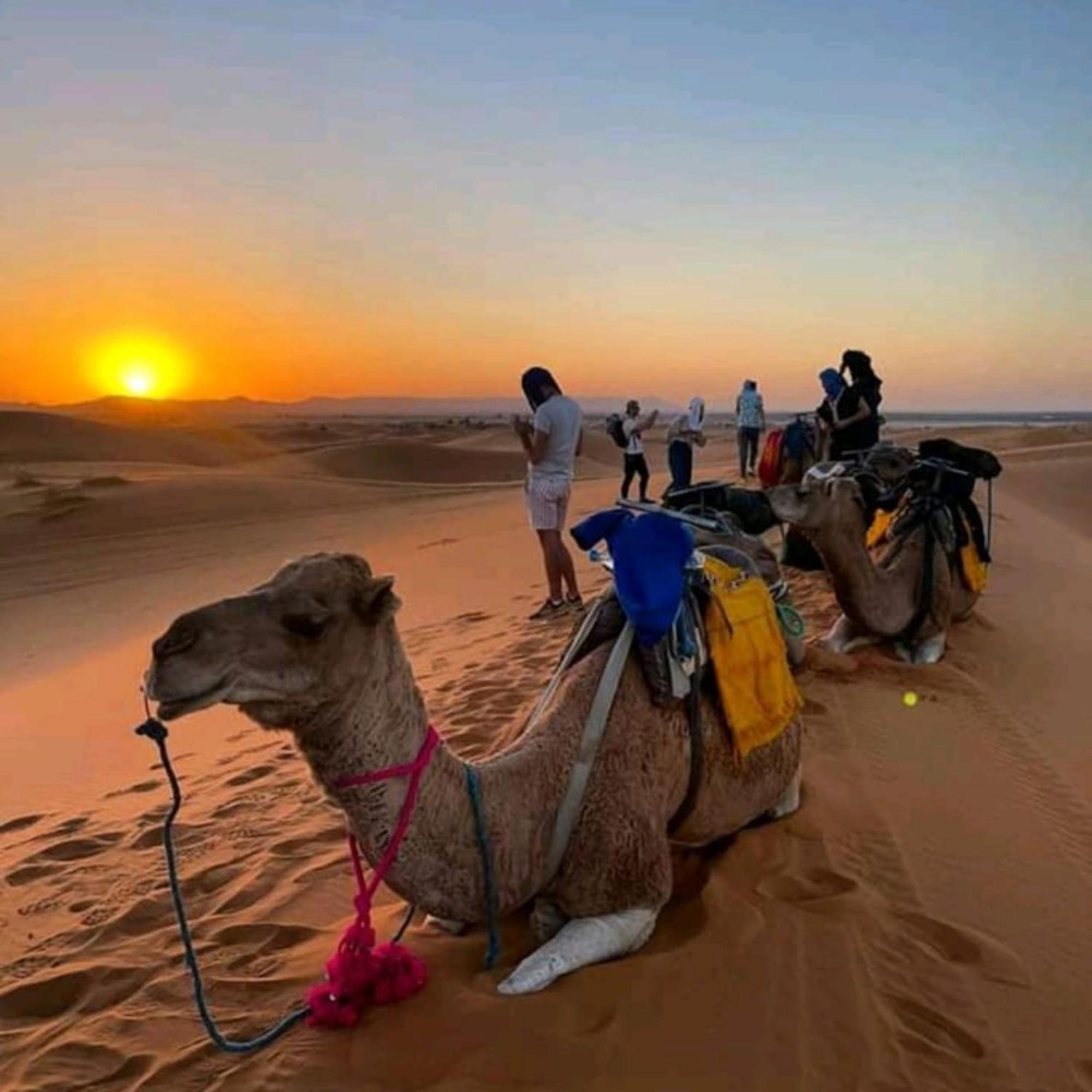 Erg Chebbi Romantic Desert Camp Мерзуга Экстерьер фото