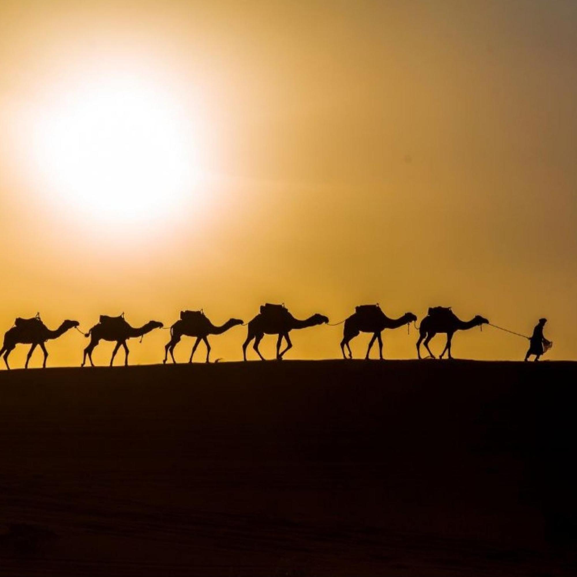 Erg Chebbi Romantic Desert Camp Мерзуга Экстерьер фото